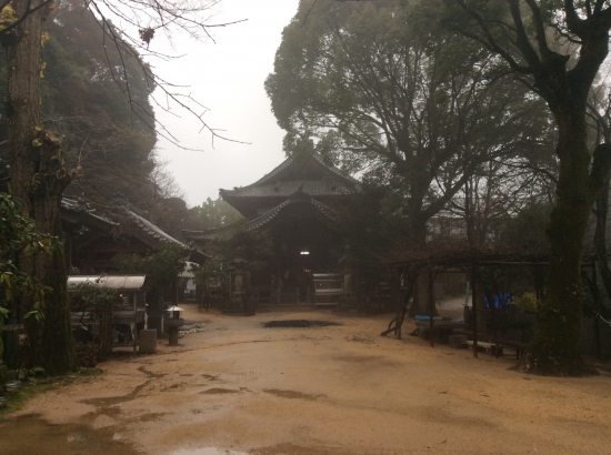 仙遊寺に着いた時には周りは真っ白でした。