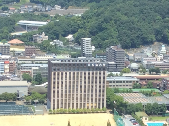 松山城天守閣から見た 、松山大学の奥の道を歩いた??