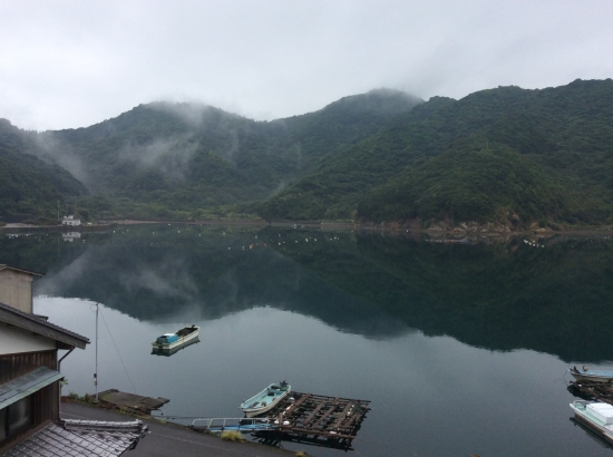 R56沿い 津島柿町柿之浦 (遍路道歩くと見られません)