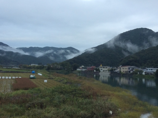 今日の朝靄(下加江ノ川)