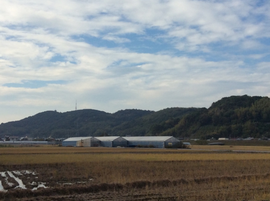 五つの山の左の端に五重の塔が??五台山竹林寺