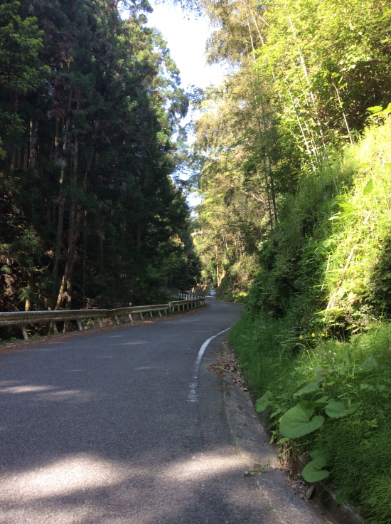 神山町鬼籠野 の道