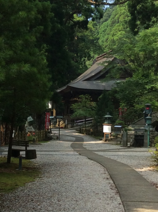 龍に見える参道