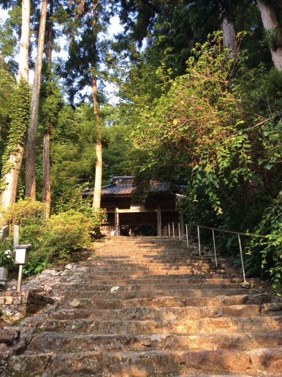 7時前でこの日差し、青龍寺