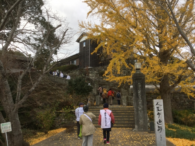 黄金の銀杏がお出迎いの常楽寺