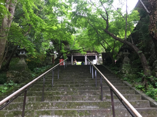新緑の竹林寺境内