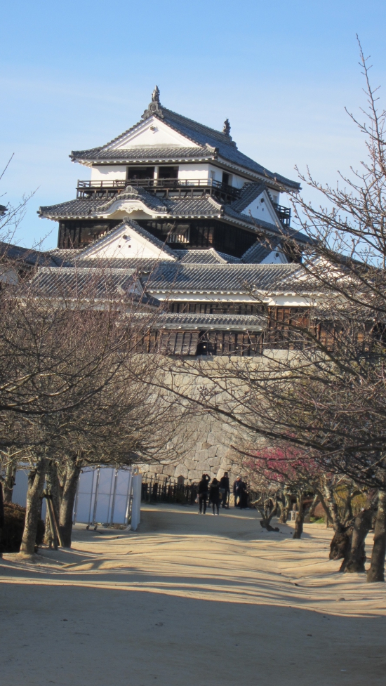 国宝 松山城 天守