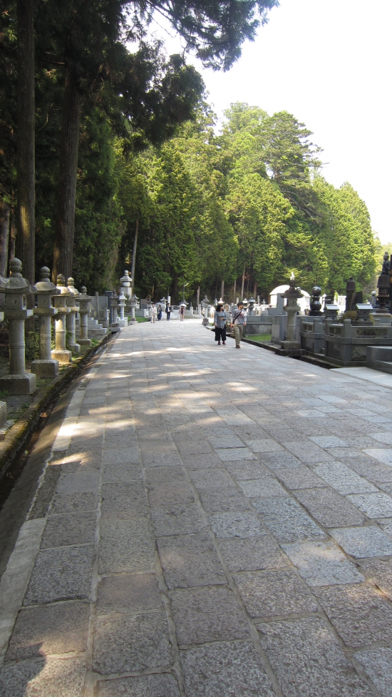 霊山寺の後はお決まりの高野山詣。ここも人が多かった(´;ω;｀)