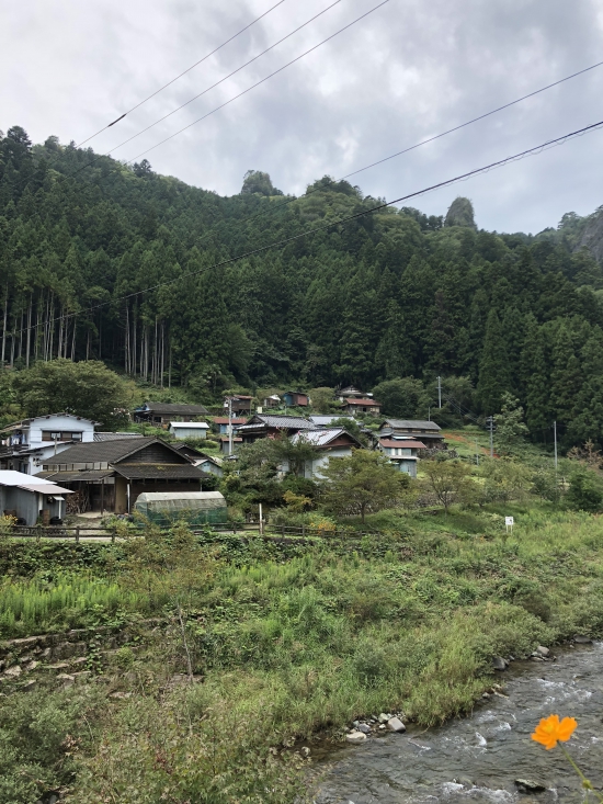 のどかな風景