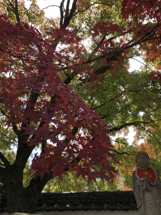 仏木寺　紅葉