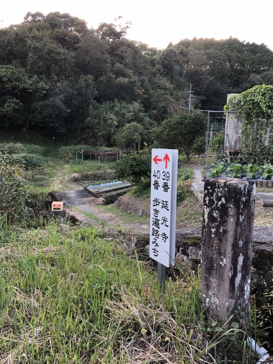 延光寺　いよいよ高知です