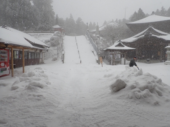 雪に埋まった境内、除雪も間に合いません。