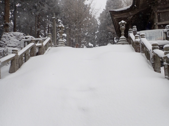 本堂までの石段は 更に雪に埋まっています。