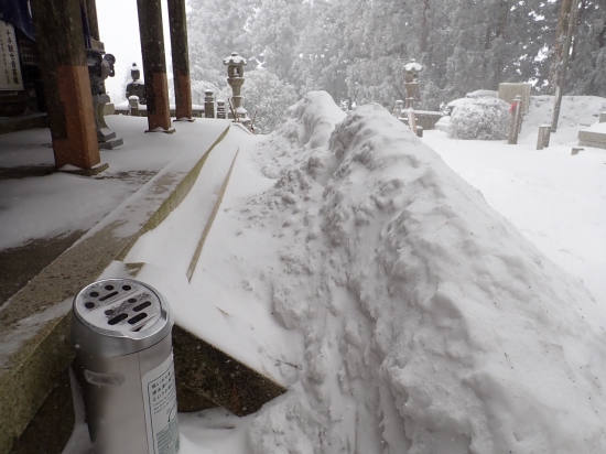 本堂前は 屋根から落ちた雪が高く積もっています。