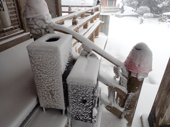 線香台も納札入れも雪をかぶっています。