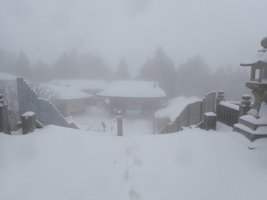 納経所に向かうと更に雪が強くなりました。