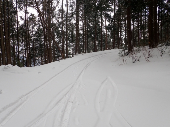 心配していた 高山への車道に 先ほどの軽自動車の轍が。。。助かります。