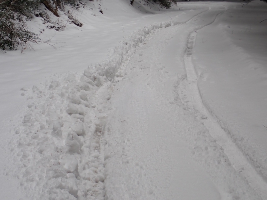 雪の下にある氷塊に タイヤを取られ、スライドしながらも進んでくれています。