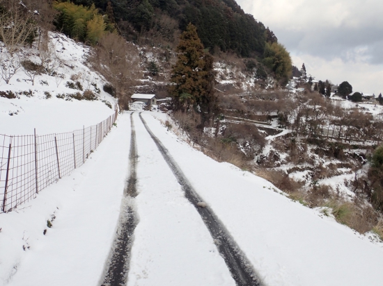 やっと 人里が見えてきました。　ここまで来れば安心です。　出石寺から車道で11km地点です。