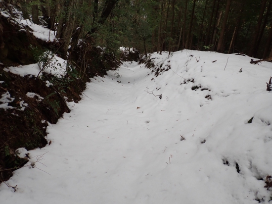 吹きだまりで足を取られました。　膝を越える深さです。　下には溶けかけた雪が。。。。　遍路道に行くのを止めとけば 靴の中が濡れることも無かった。。。