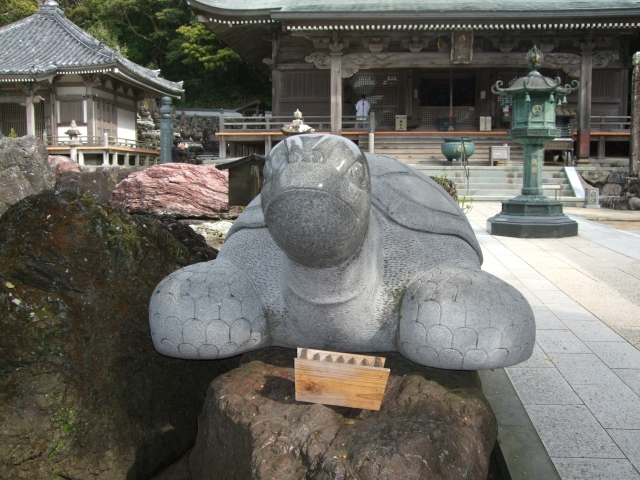 金剛福寺。亀好きに、ハマるお寺(笑)