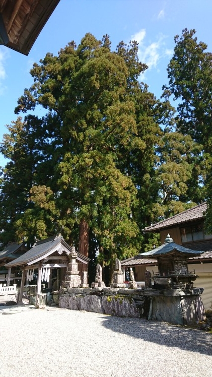 焼山寺です