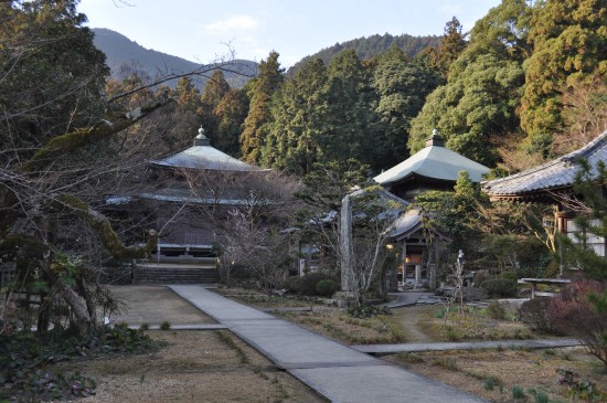 ひっそりした境内、桜の時期は綺麗だろうな、山桜が有名