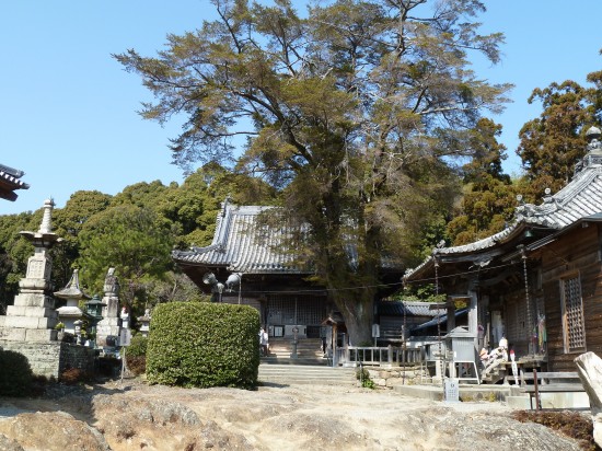 常楽寺の本堂と境内の岩