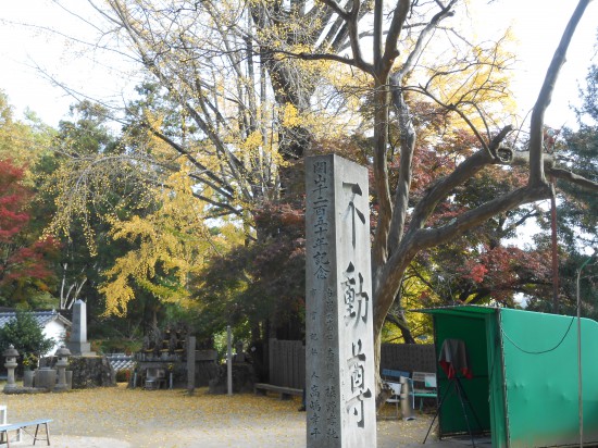 大窪寺の秋（いちょう編）