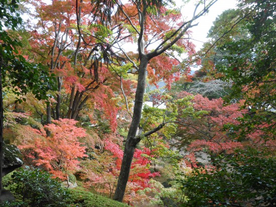 大窪寺の秋（紅葉編）