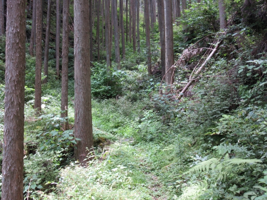 大宝寺への遍路道