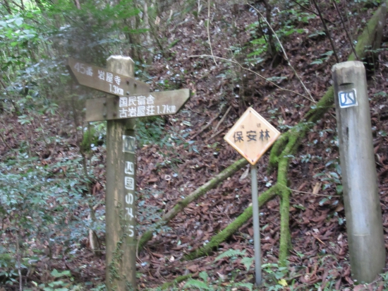 45番（岩屋寺）～和佐路さん