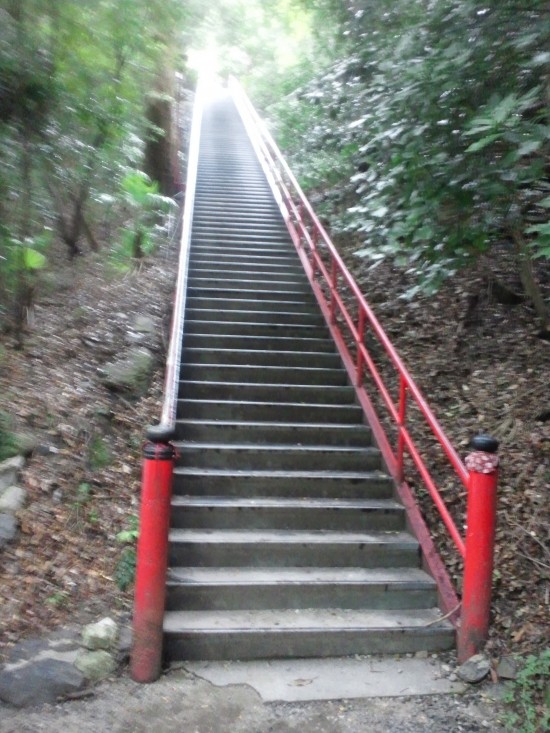 またまた階段