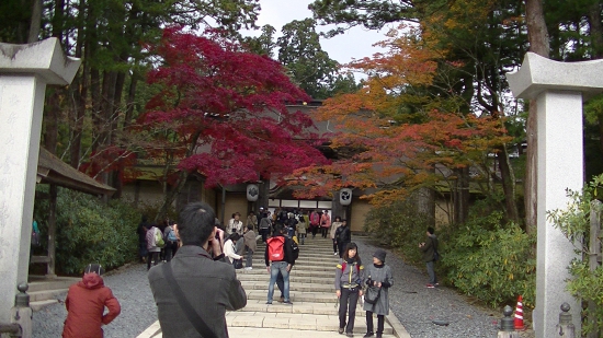 金剛峰寺の紅葉