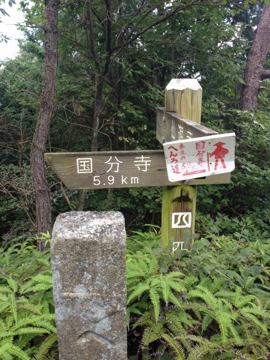 仙遊寺から国分寺へ向かう下り坂は、思ったより急だった。