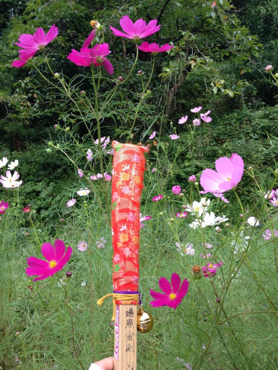 コスモスも綺麗に咲いていました。マイ金剛杖と記念撮影。