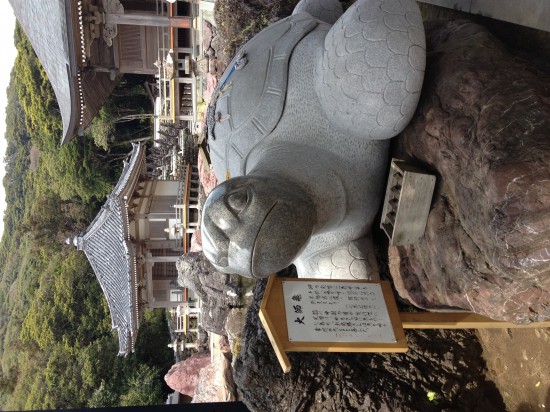 大師亀。みんなに頭を撫でられてピカピカしていた。