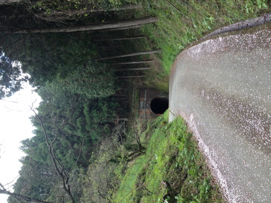 熊井トンネル。薄暗くておどろおどろしい。