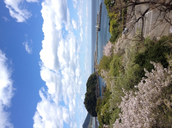 雨が上がると海が綺麗でした。