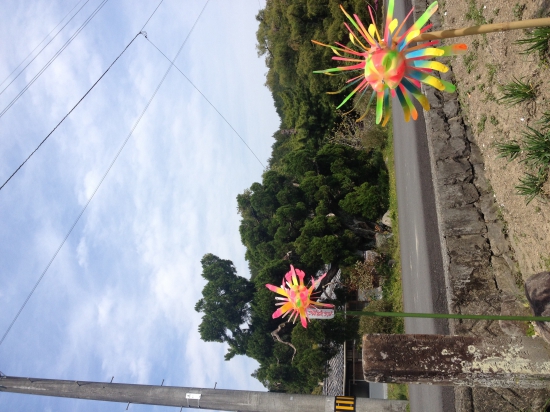 延光寺近くの遍路道にて。ペットボトルで作った風車が可愛い。