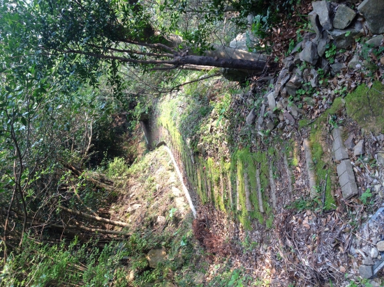 柳水大師へ向かう遍路道。結構急な山道で長い上りです。