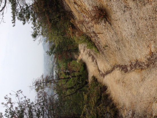 仙遊寺から次の札所に向かう下り坂。土がむき出しになり、滑るところも多い。