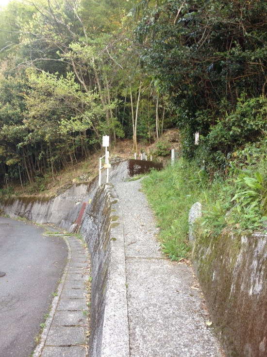 草むらの道から古い丸太の階段を上がると車道に出る。そしてこのコンクリートの坂を上ると高速道路の上に出るのだ。