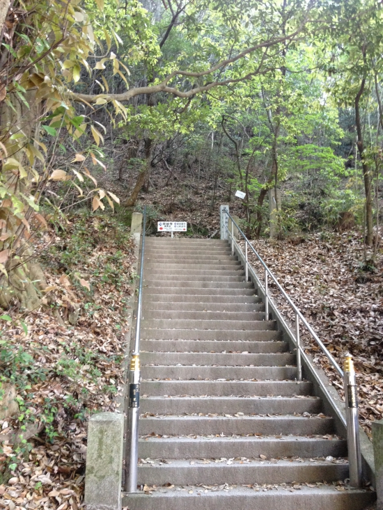 アスファルトの車道を上ると階段が現れる。