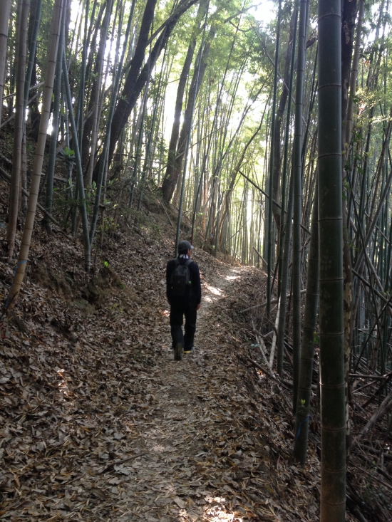 初めての遍路道が山道。蜘蛛の糸に引っかかりながら、ズンズン歩いて行く。