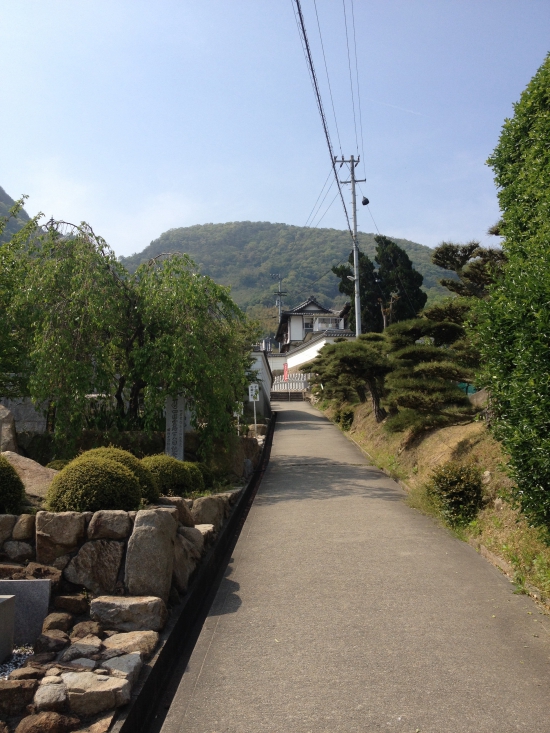 曼荼羅寺から出釈迦寺へ向かう坂道。無人販売の蜜柑が気になった。