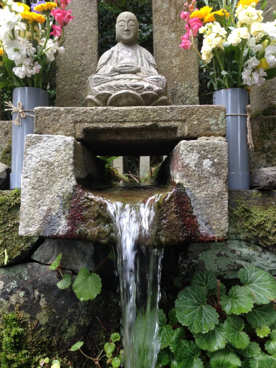 八十場の水がどこから出ているのか見たくて、覗き込んでいた時、蚊にさされた。痒い、、、