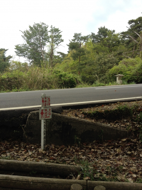 登りの山道が終わり、車道に出たところ。後は下りです。