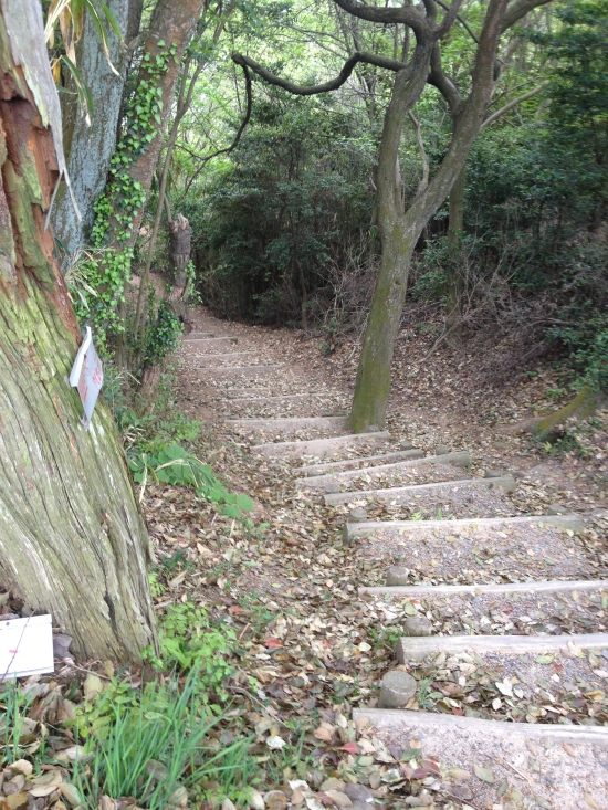 こんな感じの丸太の山道を登ってきました。