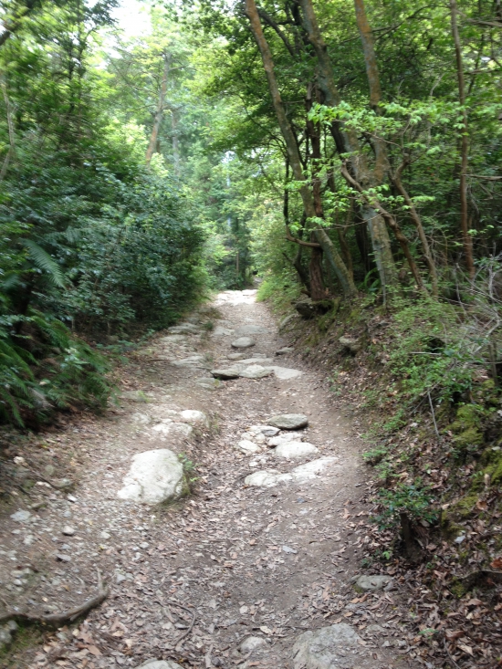 下りの山道は、ガタガタで雨の日は滑りやすいので注意です。しかも、午後になると暗くて怖いのです。